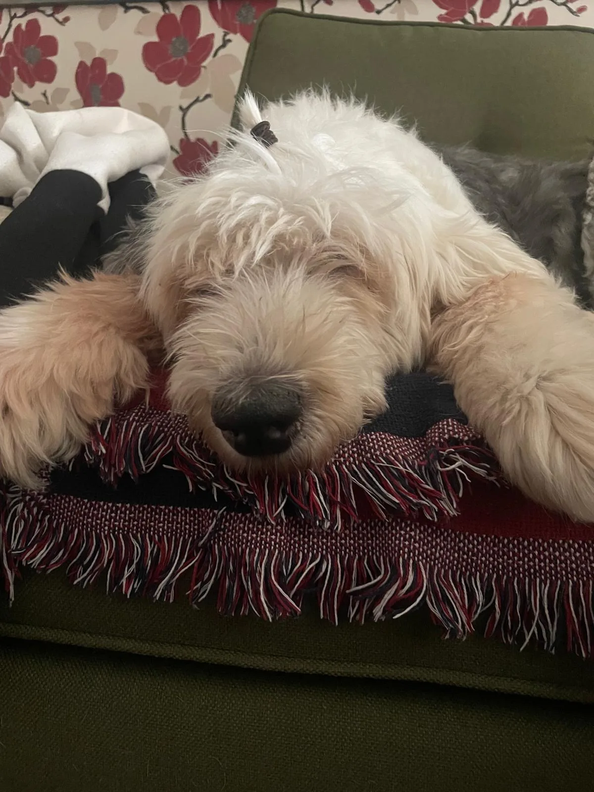 Lula, photo 2
