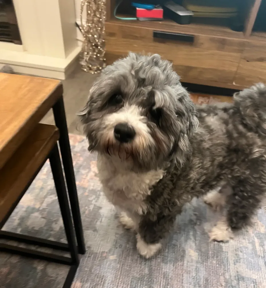 Portrait of Bengie
