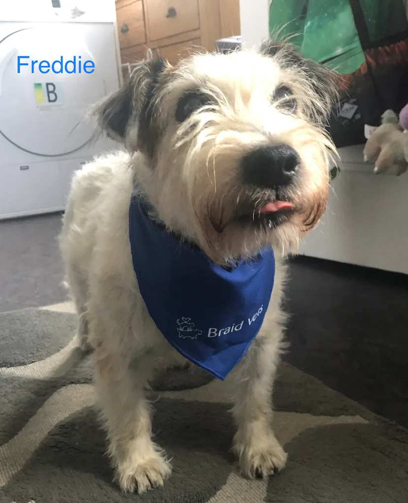 Freddie, photo 2