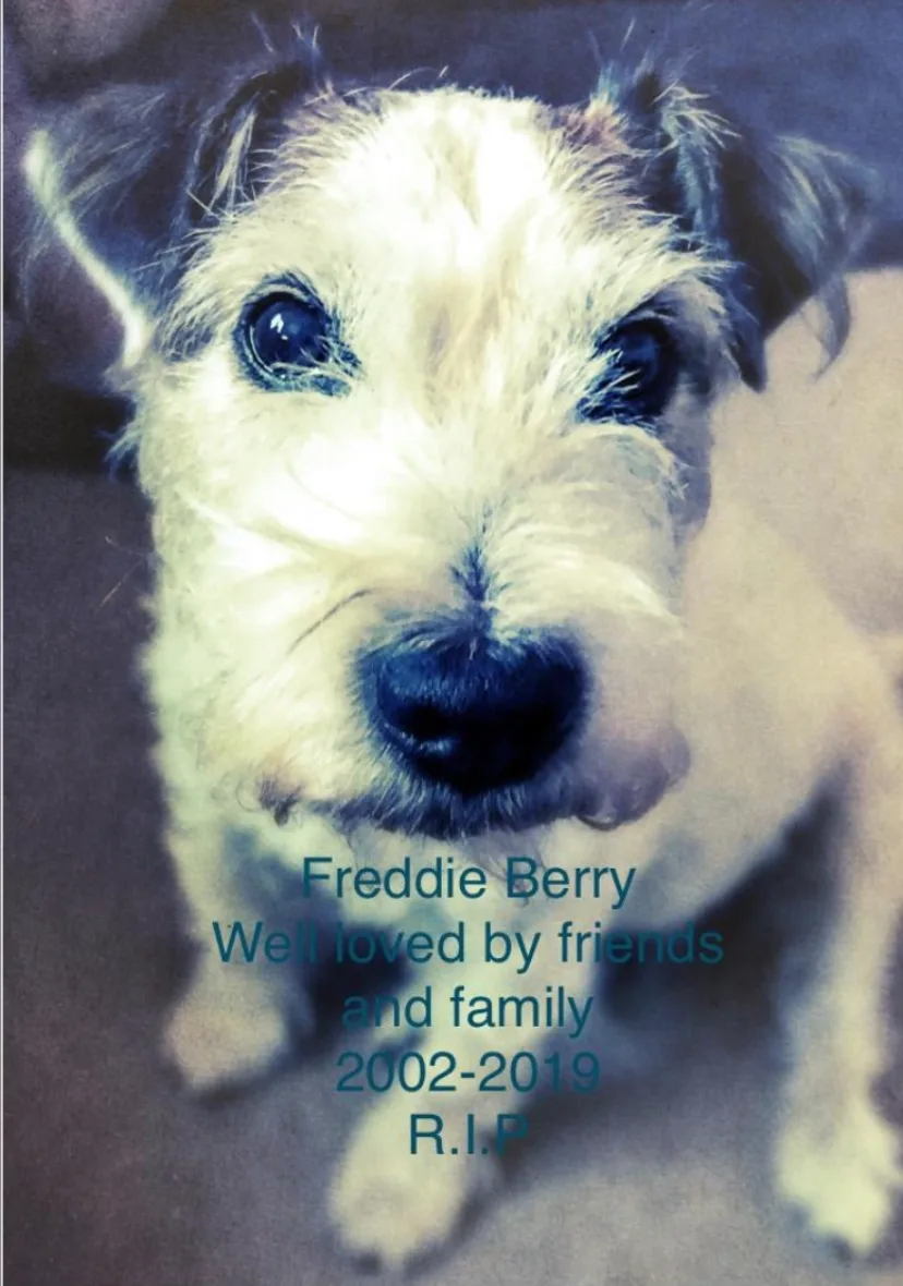 Freddie, photo 5