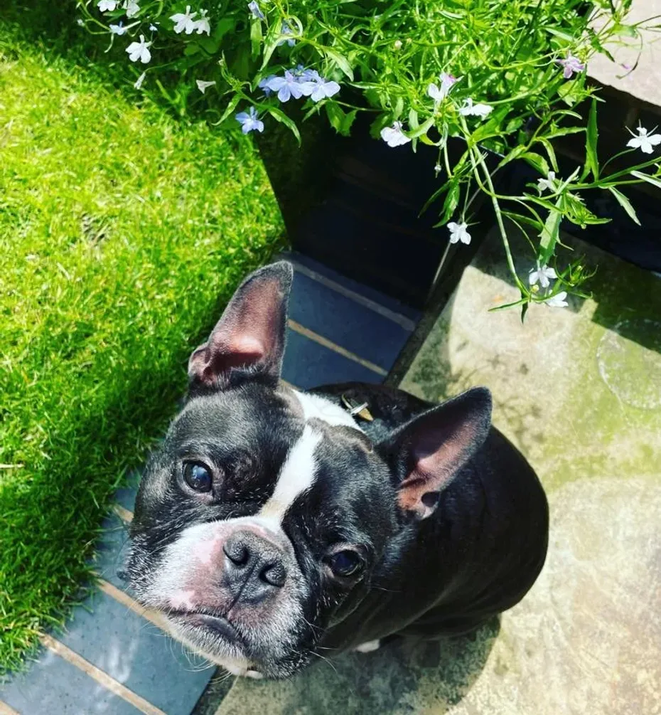 Portrait of Brody