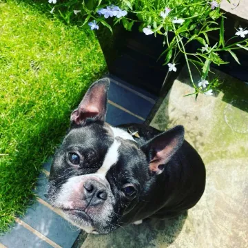 Photo of Brody