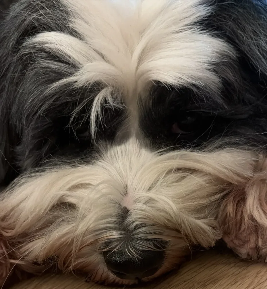 Portrait of Molly