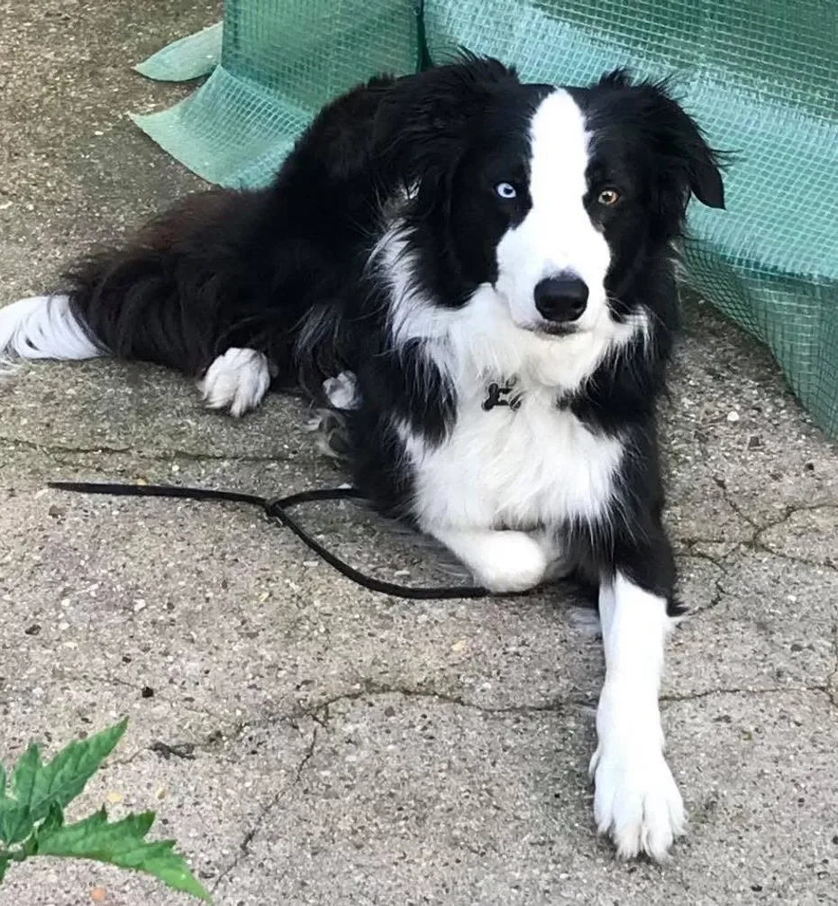 Portrait of Olly