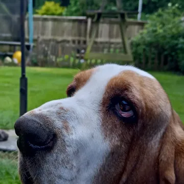 Photo of Rumble
