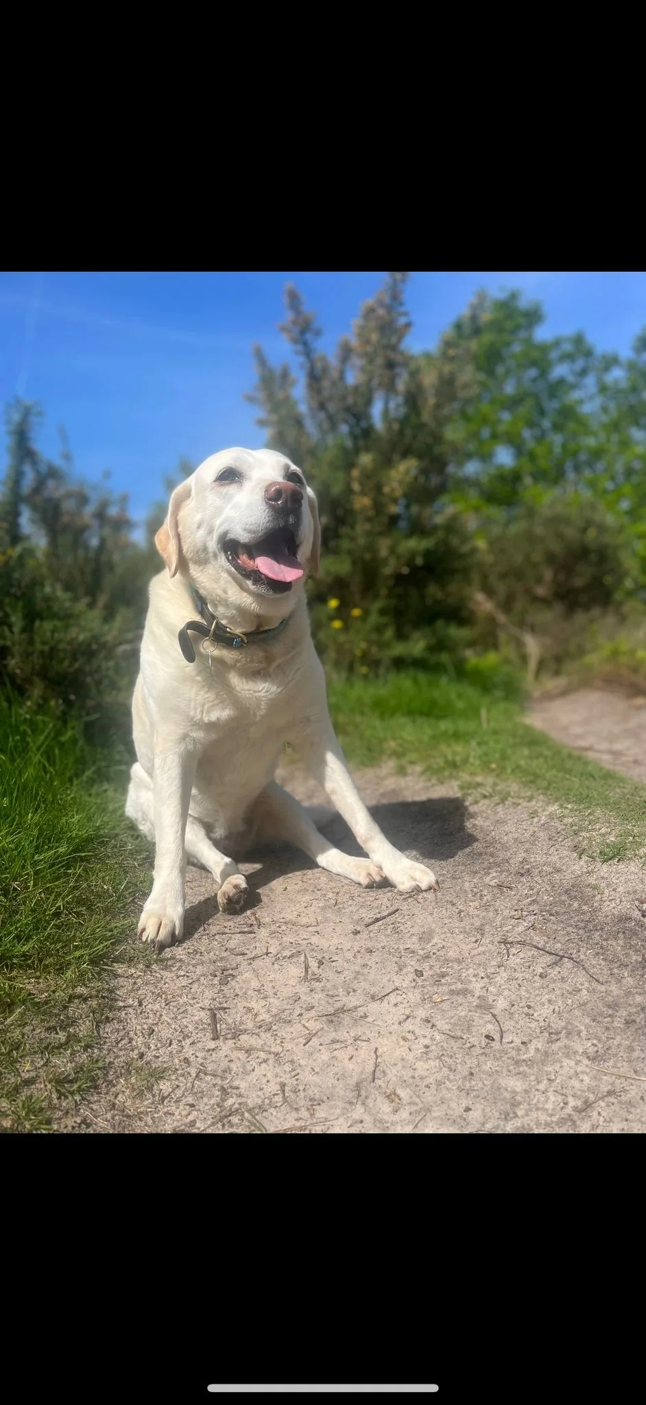 Daisy, photo 3