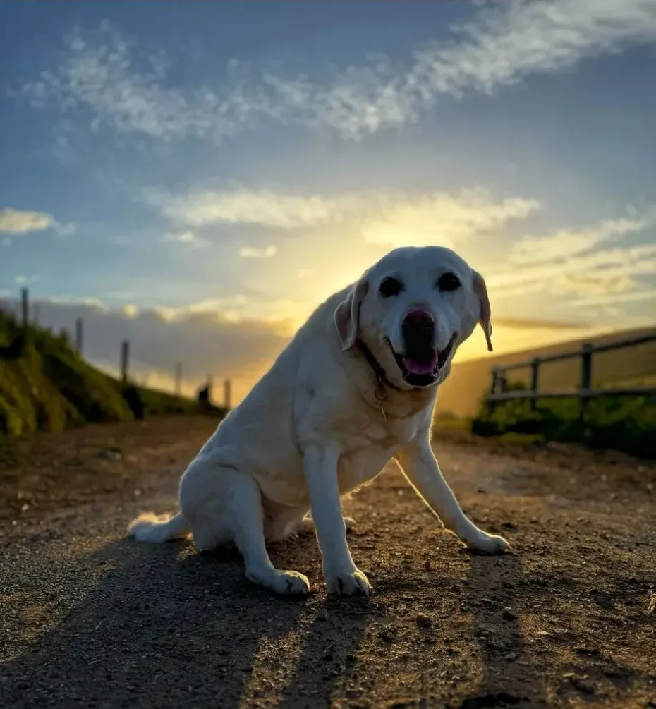 Portrait of Daisy