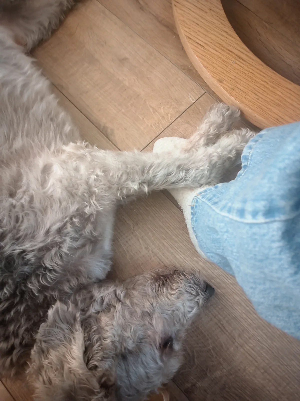 Max, photo 3