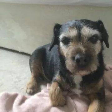Photo of Flash