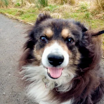 Photo of Tess