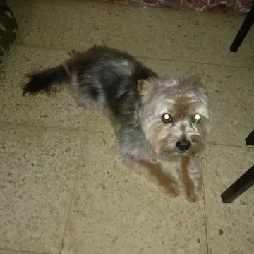 Photo of Curro