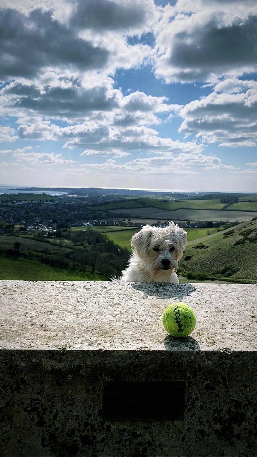 Scrumpy, photo 5