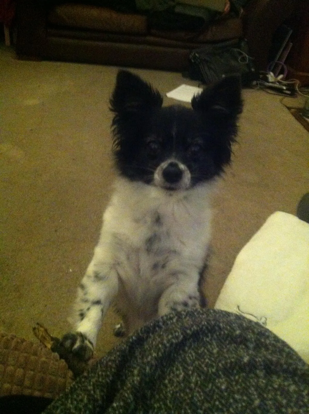 Lucy, photo 3