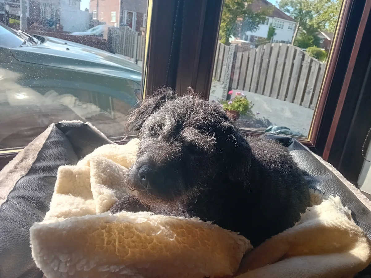 Maud, photo 3