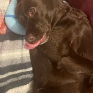 Photo of Duchess