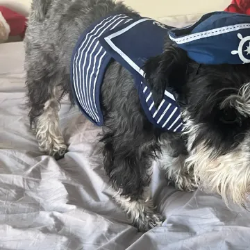 Photo of Rusty