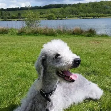Photo of Cedric