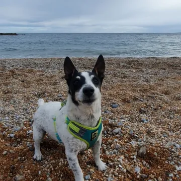 Photo of Eddie