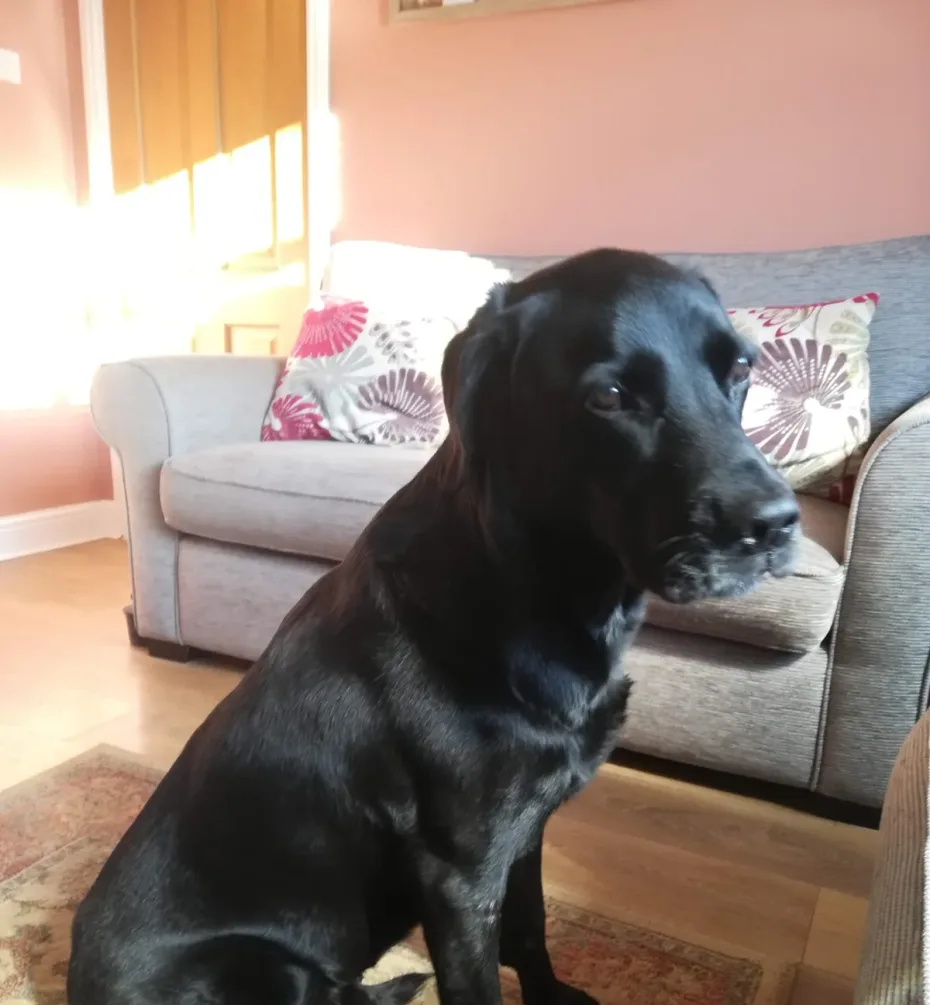 Portrait of Oscar