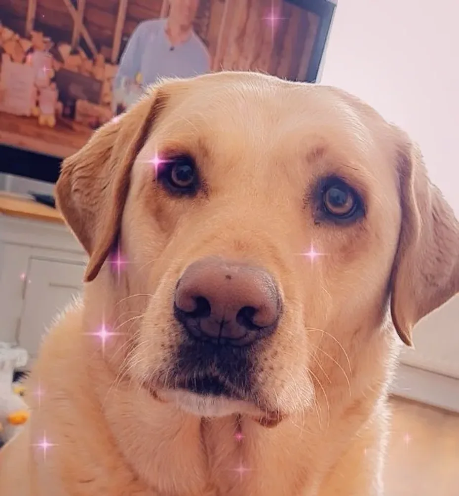 Portrait of Lola