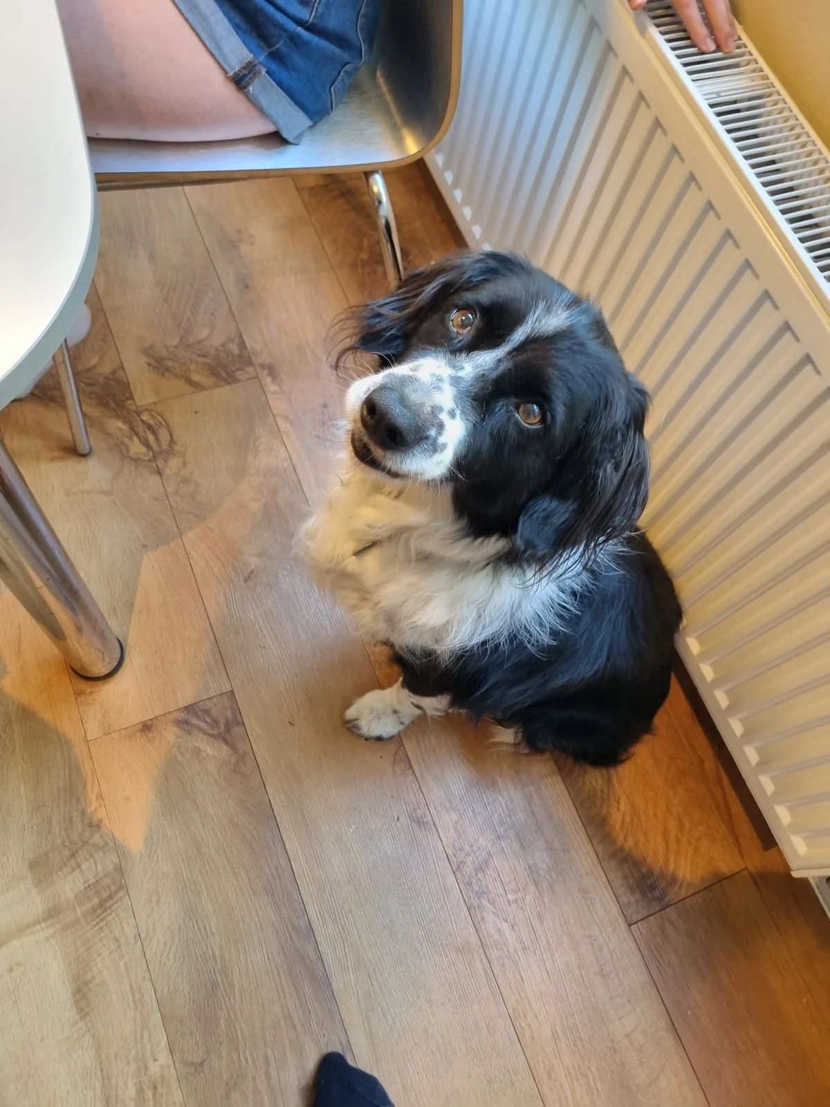 Charlie, photo 3
