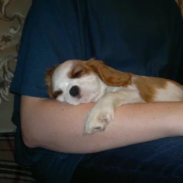 Photo of Megan