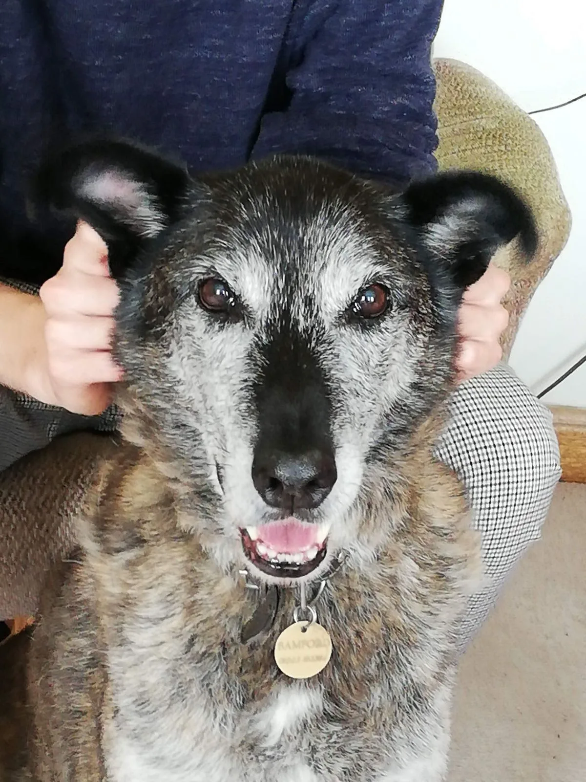 Charlie, photo 4