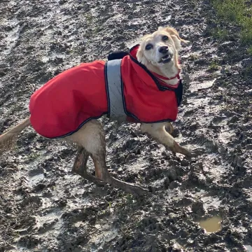 Photo of Lola