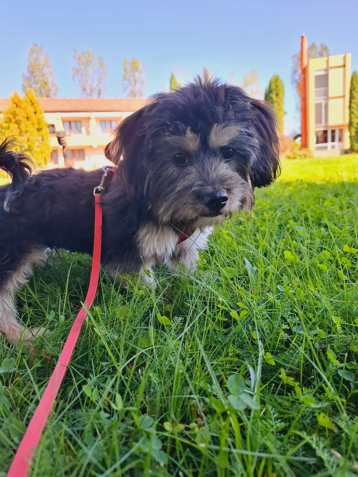 Maya, photo 2