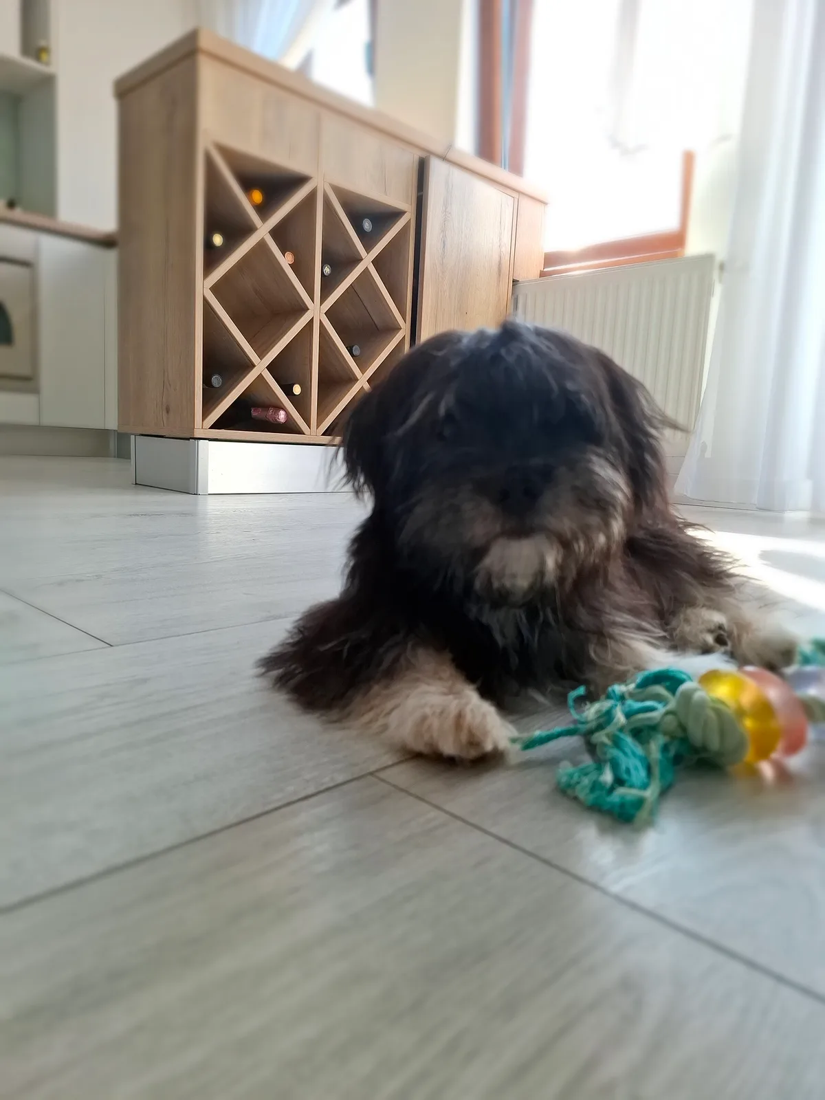 Maya, photo 3