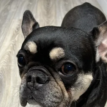Photo of Skylar