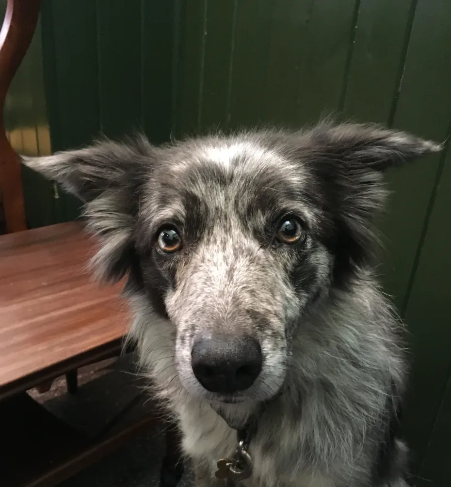 Portrait of Cloud