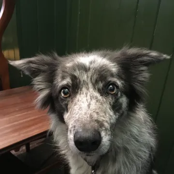 Photo of Cloud
