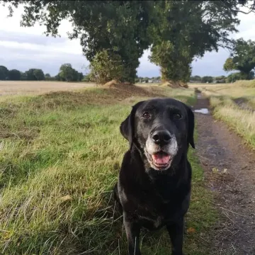 Photo of Molly