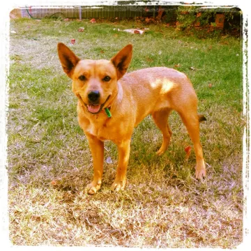 Photo of Bessie